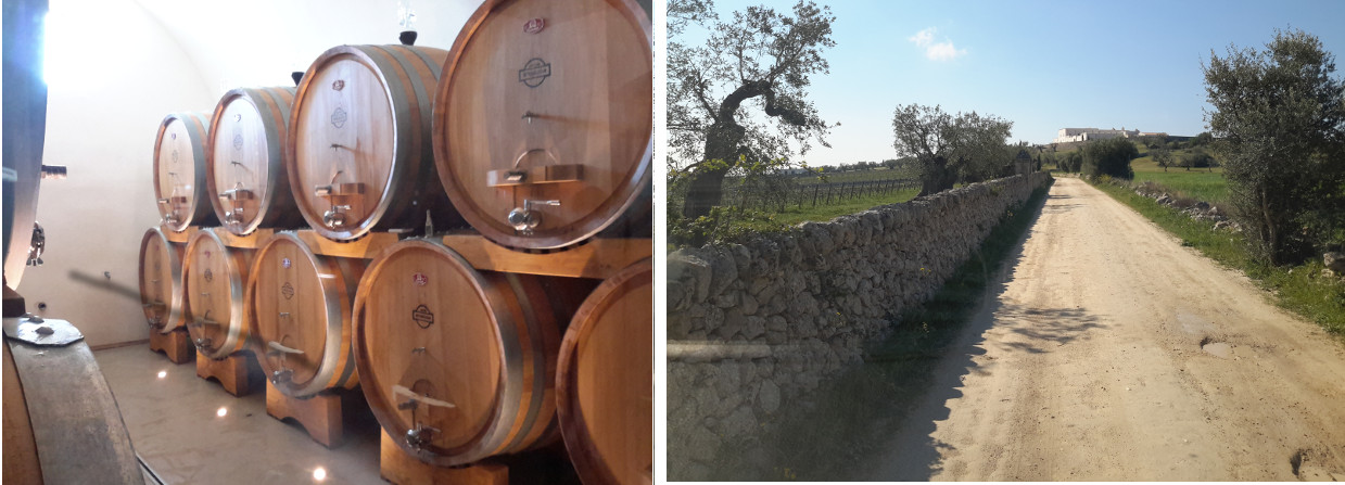 La masseria Amastuola con a sinistra uno scorcio della cantina