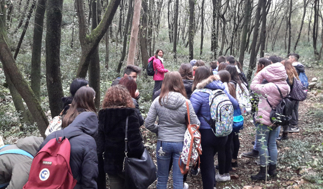 Escursione al Bosco Pianelle